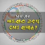 애드센스 고수익 cms 선택